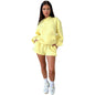 Solid Color Long Sleeve Hooded Sweaters Women's Clothing Two-piece Fashion