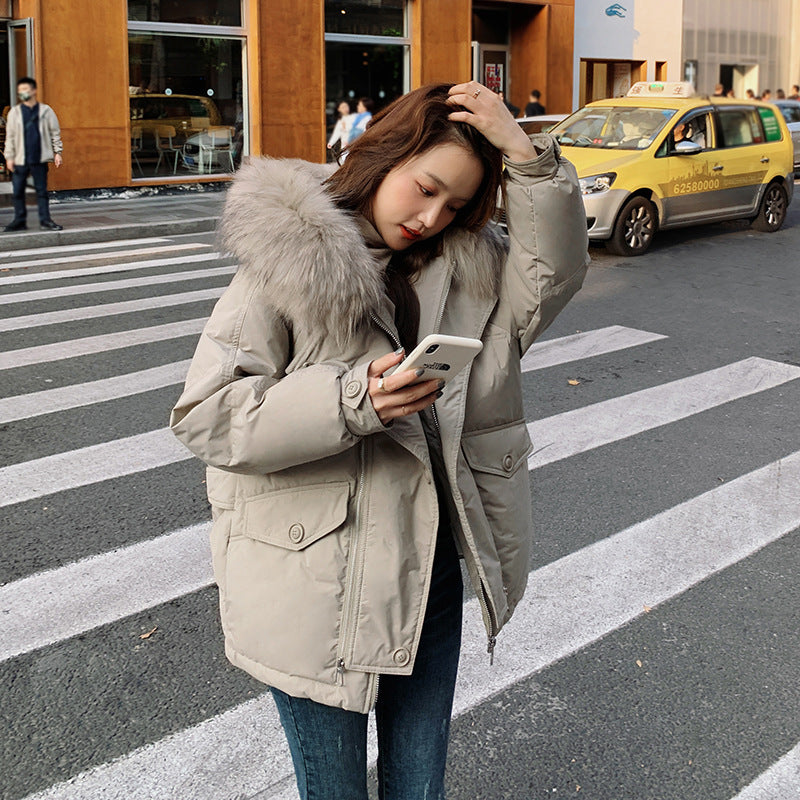 Korean Style Ins Trendy Small Cotton-padded Jacket Chic Cotton-padded Jacket